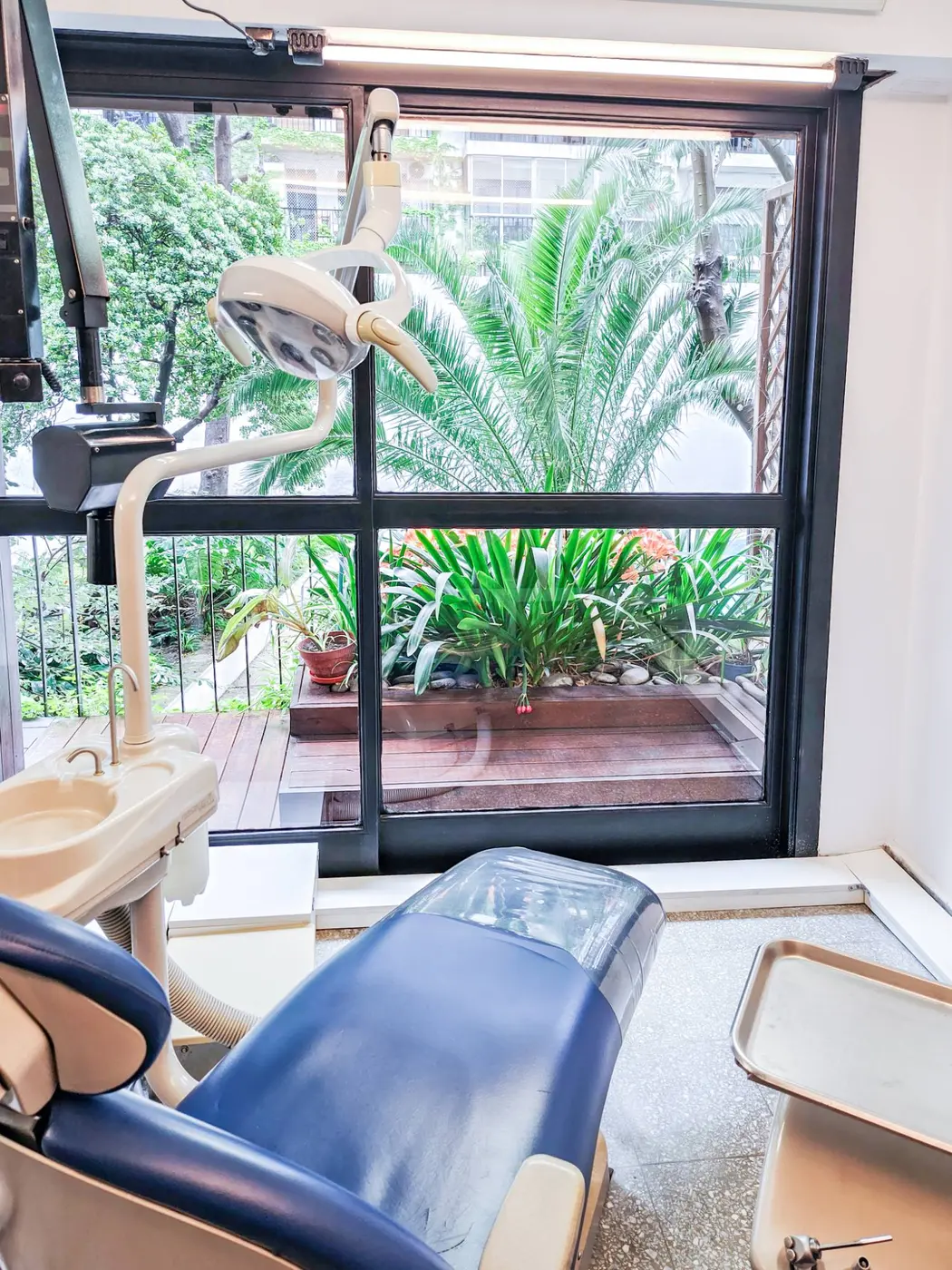 Sillón odontológico azul frente al ventanal con palmera y jardín